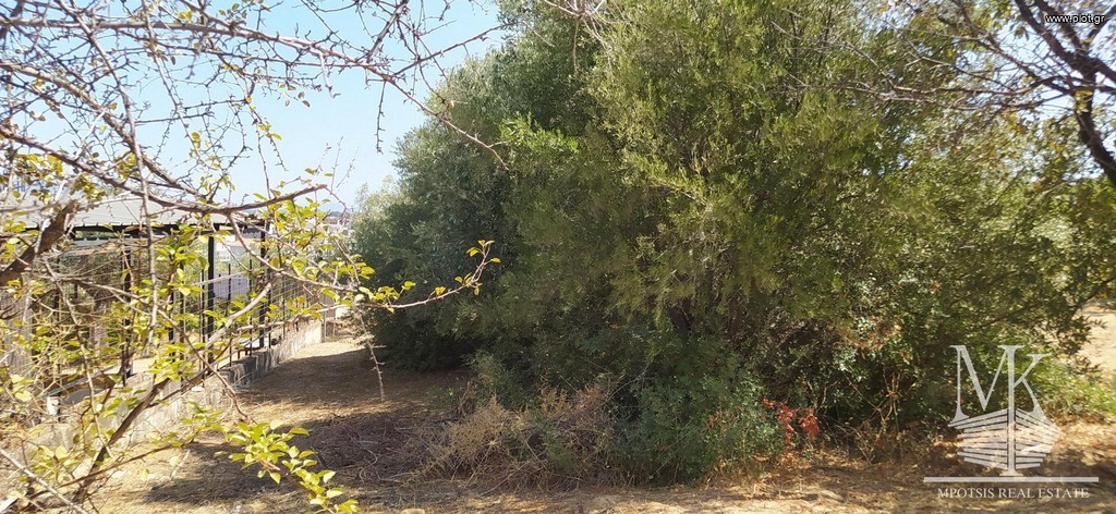 Αγροτεμάχια 300 τ.μ. πρός πώληση, Αττική - Υπόλοιπο, Κ. Σκάλας Ωρωπού