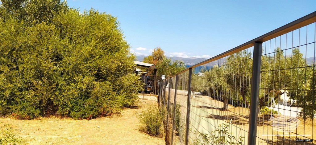 Αγροτεμάχια 300 τ.μ. πρός πώληση, Αττική - Υπόλοιπο, Κ. Σκάλας Ωρωπού