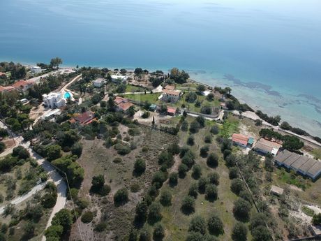 Αγροτεμάχια 7.543τ.μ. για πώληση-Λουτράκι-περαχώρα