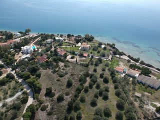 Αγροτεμάχια 7.543 τ.μ. για πώληση