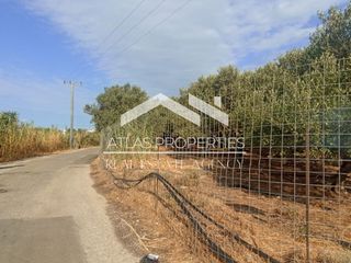 Οικόπεδο 4.006 τ.μ. για πώληση