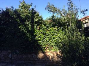 Land plot 653sqm for sale-Filothei