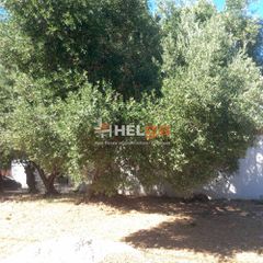 Οικόπεδο 275 τ.μ. για πώληση