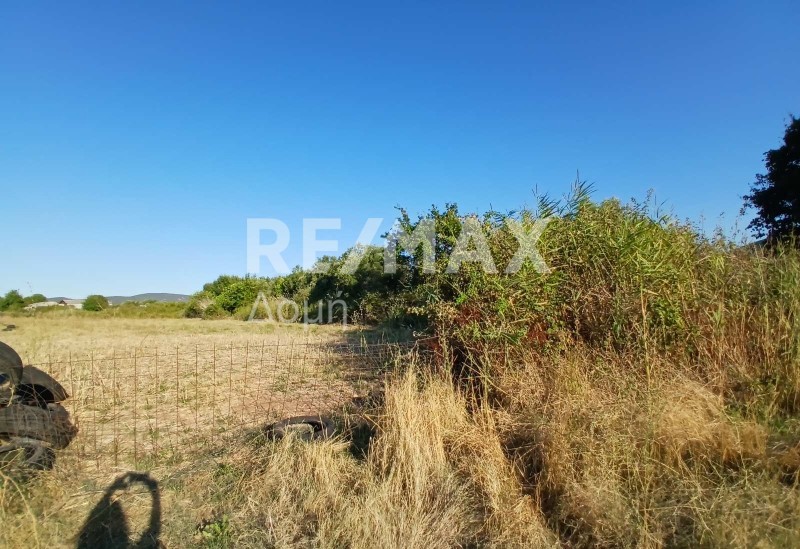 Αγροτεμάχια 17.000 τ.μ. πρός πώληση, Μαγνησία, Αλμυρός