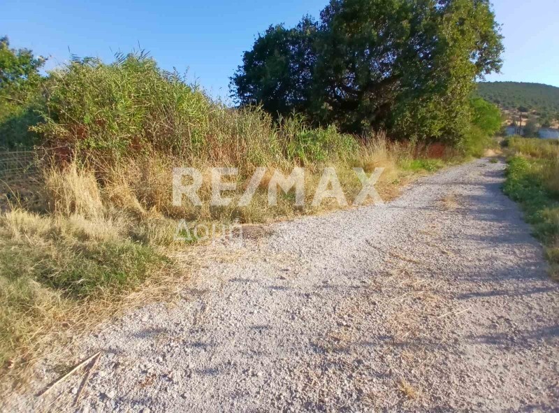 Αγροτεμάχια 17.000 τ.μ. πρός πώληση, Μαγνησία, Αλμυρός