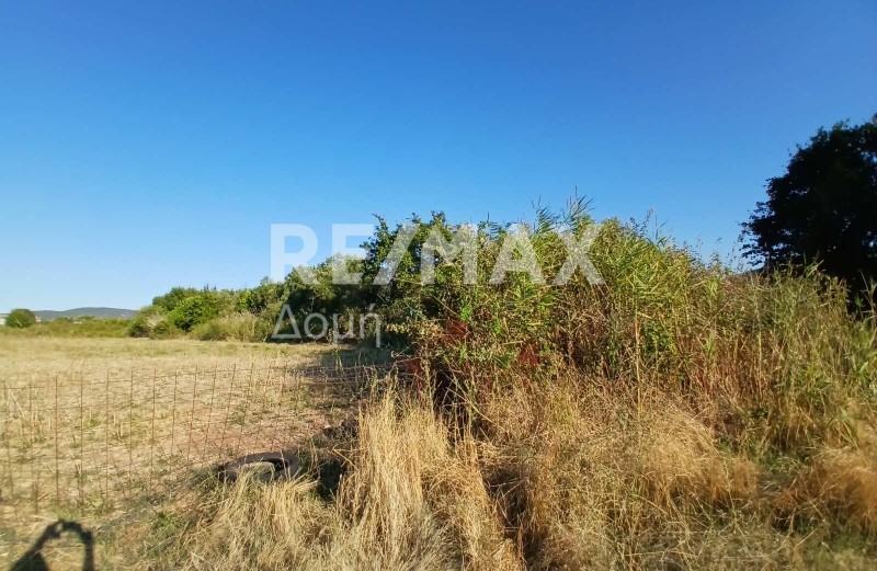 Αγροτεμάχια 17.000 τ.μ. πρός πώληση, Μαγνησία, Αλμυρός