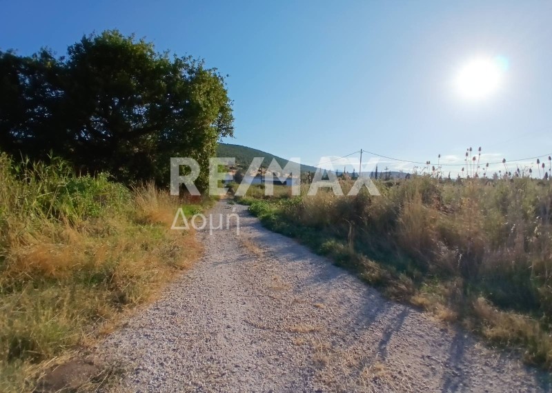 Αγροτεμάχια 17.000 τ.μ. πρός πώληση, Μαγνησία, Αλμυρός