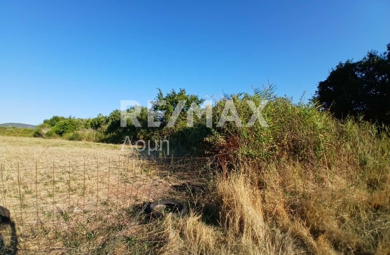 Αγροτεμάχια 17.000 τ.μ. πρός πώληση, Μαγνησία, Αλμυρός