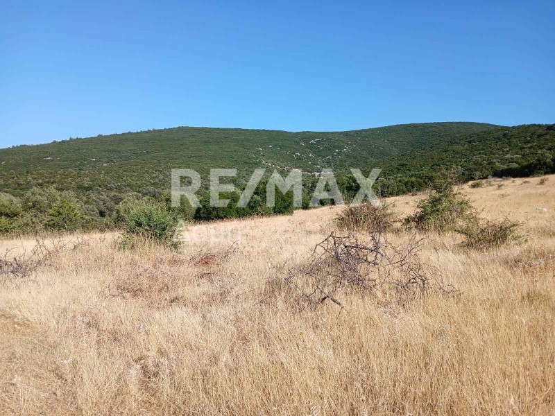 Αγροτεμάχια 20.000 τ.μ. πρός πώληση, Μαγνησία, Αλμυρός