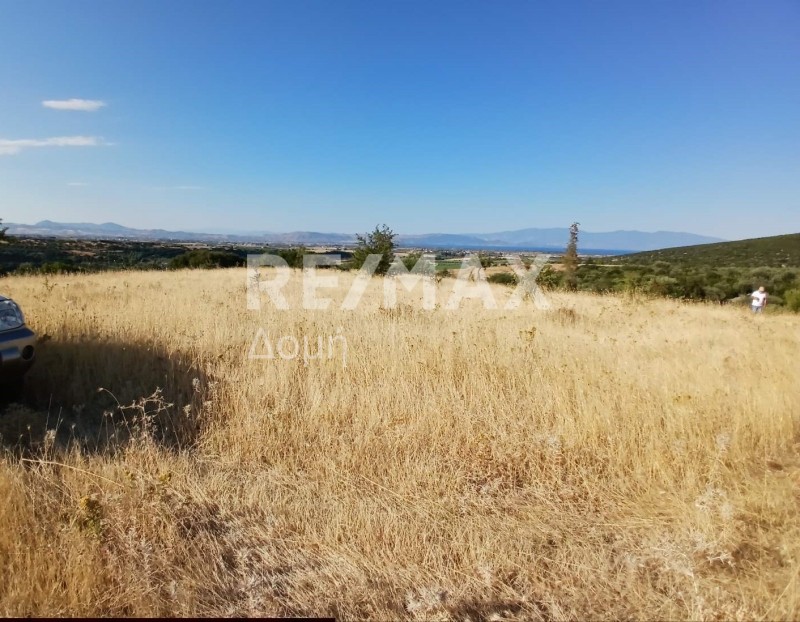 Αγροτεμάχια 20.000 τ.μ. πρός πώληση, Μαγνησία, Αλμυρός