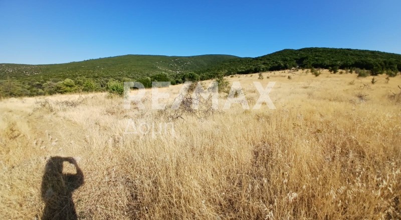 Αγροτεμάχια 20.000 τ.μ. πρός πώληση, Μαγνησία, Αλμυρός