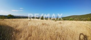 Αγροτεμάχια 20.000 τ.μ. για πώληση