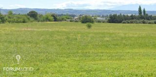 Αγροτεμάχια 16.000 τ.μ. για πώληση