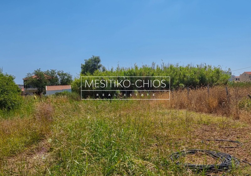 Οικόπεδο 1.302,31 τ.μ. προς πώληση, Μαστιχοχώρια