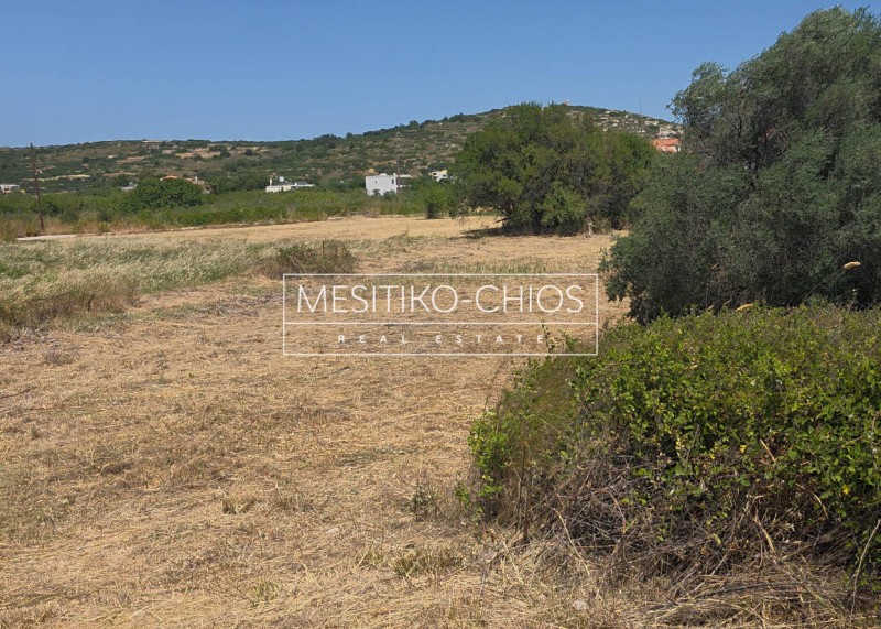 Οικόπεδο 1.302,31 τ.μ. προς πώληση, Μαστιχοχώρια