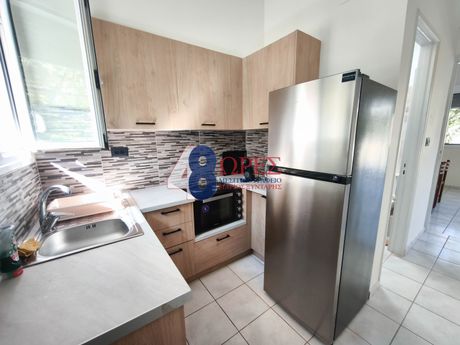 Apartment 40 sqm for rent