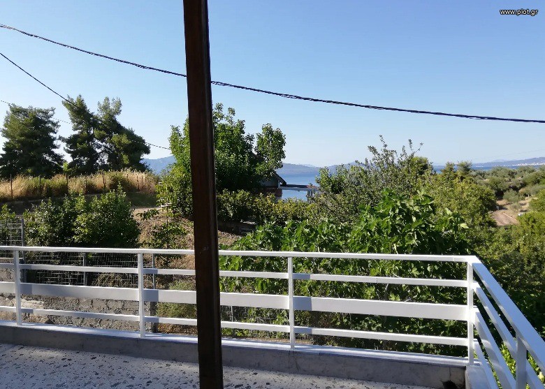 Μονοκατοικία 235 τ.μ. πρός πώληση, Φθιώτιδας, Δαφνούσες