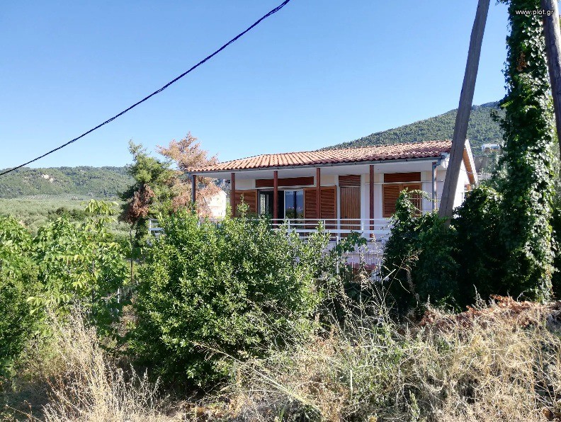 Μονοκατοικία 235 τ.μ. πρός πώληση, Φθιώτιδας, Δαφνούσες