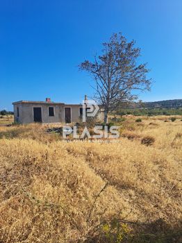 Αγροτεμάχια 4.800τ.μ. για πώληση-Σπάτα