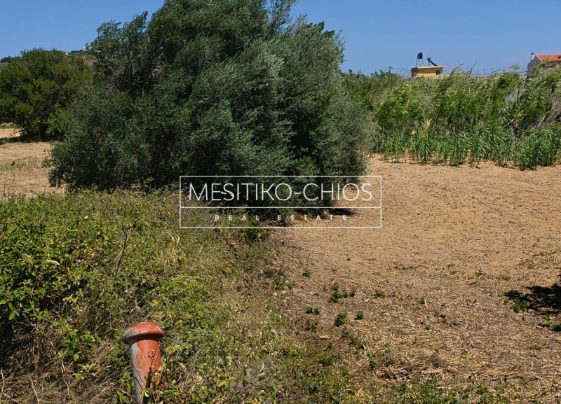 Οικόπεδο 1.022,81 τ.μ. προς πώληση, Μαστιχοχώρια