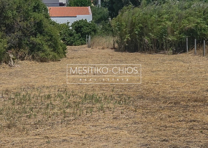 Οικόπεδο 1.022,81 τ.μ. προς πώληση, Μαστιχοχώρια