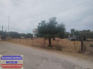 Οικόπεδο 1.330 τ.μ. για πώληση, Ν. Καβάλας, Θάσος-thumb-1