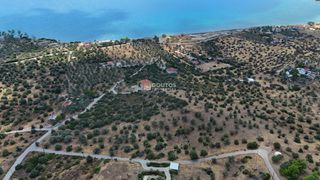 Αγροτεμάχια 10.040 τ.μ. για πώληση, Αργολίδα, Ερμιόνη-thumb-16