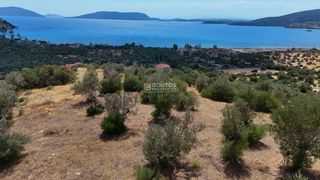 Αγροτεμάχια 10.040 τ.μ. για πώληση, Αργολίδα, Ερμιόνη-thumb-25