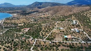 Αγροτεμάχια 10.040 τ.μ. για πώληση, Αργολίδα, Ερμιόνη-thumb-23