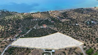 Αγροτεμάχια 10.040 τ.μ. για πώληση, Αργολίδα, Ερμιόνη-thumb-3