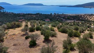 Αγροτεμάχια 10.040 τ.μ. για πώληση, Αργολίδα, Ερμιόνη-thumb-26