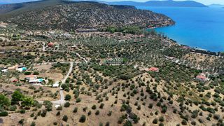 Αγροτεμάχια 10.040 τ.μ. για πώληση, Αργολίδα, Ερμιόνη-thumb-4