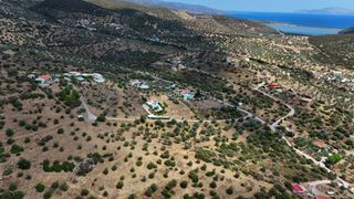 Αγροτεμάχια 10.040 τ.μ. για πώληση, Αργολίδα, Ερμιόνη-thumb-6