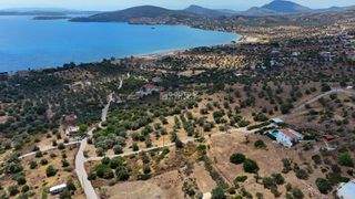 Αγροτεμάχια 10.040 τ.μ. για πώληση, Αργολίδα, Ερμιόνη-thumb-14