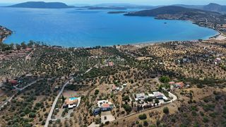 Αγροτεμάχια 10.040 τ.μ. για πώληση, Αργολίδα, Ερμιόνη-thumb-19