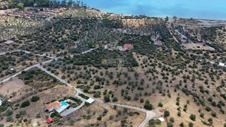 Αγροτεμάχια 10.040 τ.μ. για πώληση, Αργολίδα, Ερμιόνη-thumb-18