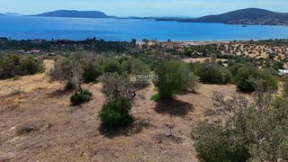 Αγροτεμάχια 10.040 τ.μ. για πώληση, Αργολίδα, Ερμιόνη-thumb-20