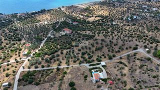 Αγροτεμάχια 10.040 τ.μ. για πώληση, Αργολίδα, Ερμιόνη-thumb-15