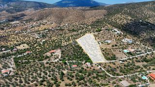 Αγροτεμάχια 10.040 τ.μ. για πώληση, Αργολίδα, Ερμιόνη-thumb-21
