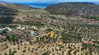 Αγροτεμάχια 10.040 τ.μ. για πώληση, Αργολίδα, Ερμιόνη-thumb-7