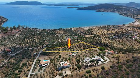 Αγροτεμάχια 10.040τ.μ. για πώληση-Ερμιόνη