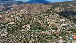 Αγροτεμάχια 10.040 τ.μ. για πώληση, Αργολίδα, Ερμιόνη-thumb-22
