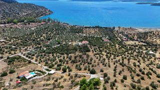 Αγροτεμάχια 10.040 τ.μ. για πώληση, Αργολίδα, Ερμιόνη-thumb-2