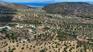 Αγροτεμάχια 10.040 τ.μ. για πώληση, Αργολίδα, Ερμιόνη-thumb-5