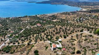 Αγροτεμάχια 10.040 τ.μ. για πώληση, Αργολίδα, Ερμιόνη-thumb-24