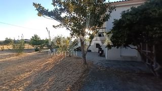Μονοκατοικία 200 τ.μ. πρός πώληση, Ν. Ροδόπης, Κομοτηνή-thumb-24