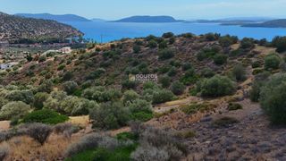 Αγροτεμάχια 34.000 τ.μ. για πώληση, Αργολίδα, Ερμιόνη-thumb-27