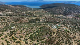 Αγροτεμάχια 34.000 τ.μ. για πώληση, Αργολίδα, Ερμιόνη-thumb-5