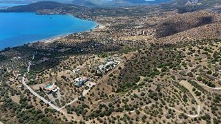 Αγροτεμάχια 34.000 τ.μ. για πώληση, Αργολίδα, Ερμιόνη-thumb-12
