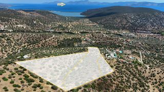 Αγροτεμάχια 34.000 τ.μ. για πώληση, Αργολίδα, Ερμιόνη-thumb-16